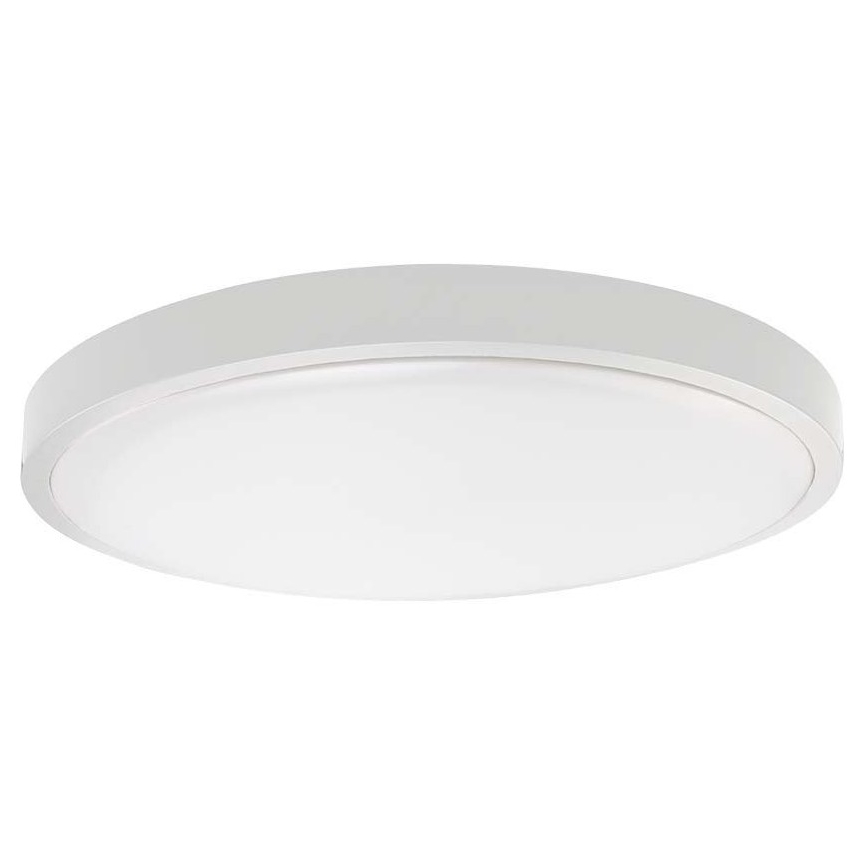 LED Koupelnové stropní svítidlo LED/24W/230V IP44 6500K pr. 29 cm bílá