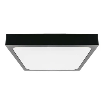 LED Koupelnové stropní svítidlo LED/30W/230V 3000K IP44 černá