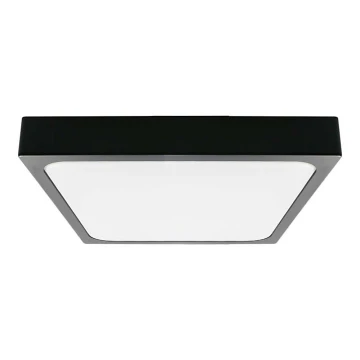 LED Koupelnové stropní svítidlo LED/30W/230V 4000K IP44 černá