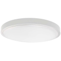 LED Koupelnové stropní svítidlo LED/36W/230V IP44 6500K pr. 35 cm bílá