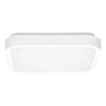 LED Koupelnové stropní svítidlo LUKY LED/12W/230V 4000K 25x25 cm IP44 bílá