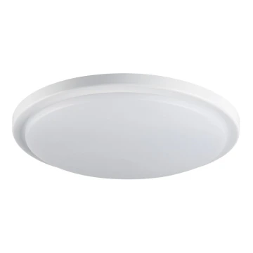 LED Koupelnové stropní svítidlo ORTE LED/24W/230V IP54