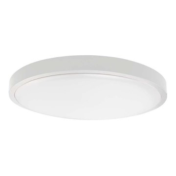 LED Koupelnové stropní svítidlo SAMSUNG CHIP LED/18W/230V IP44 6500K pr. 25 cm bílá