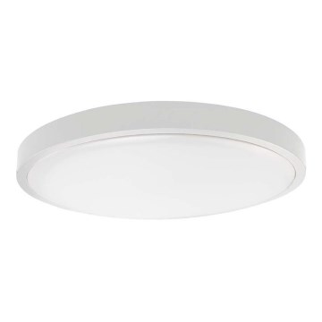 LED Koupelnové stropní svítidlo SAMSUNG CHIP LED/24W/230V IP44 6500K pr. 29 cm bílá