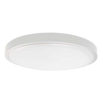 LED Koupelnové stropní svítidlo SAMSUNG CHIP LED/36W/230V IP44 3000K pr. 35 cm bílá