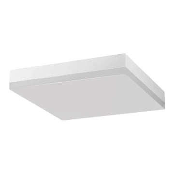 LED Koupelnové stropní svítidlo SMART-S LED/12W/230V IP44