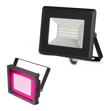 LED Reflektor LED/20W/230V IP65 růžové světlo