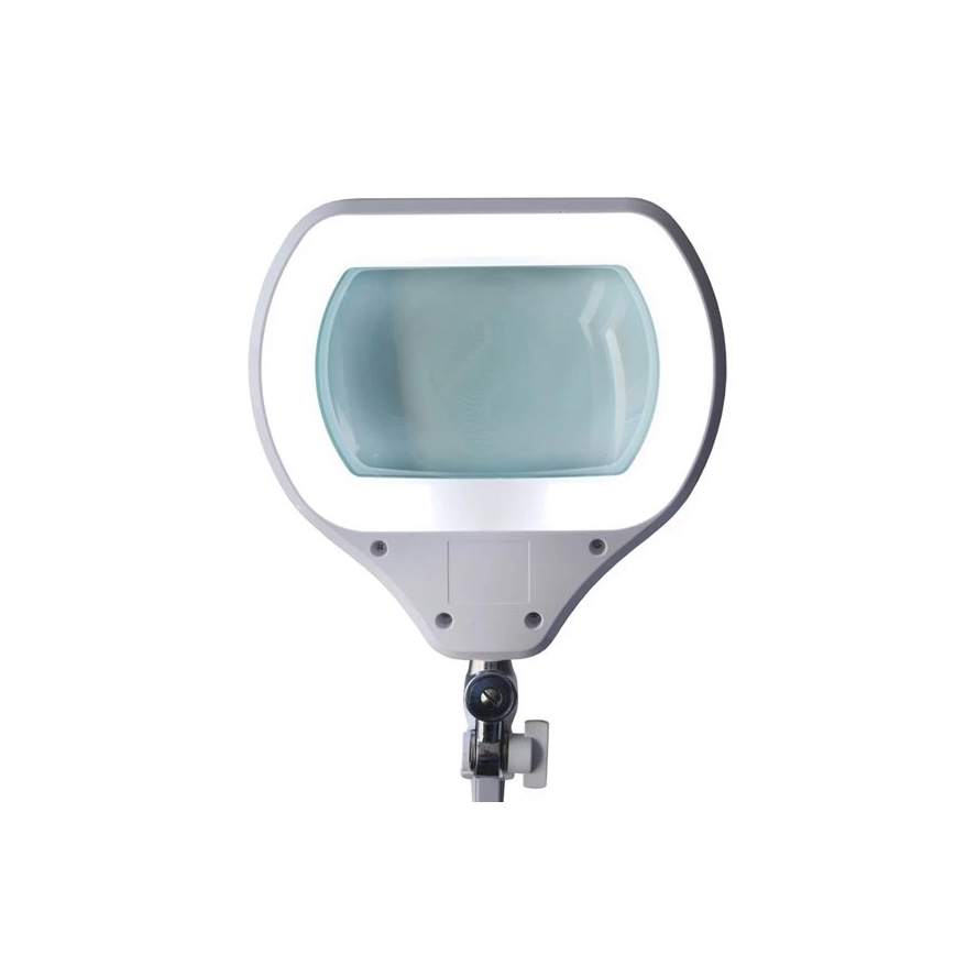 LED Stmívatelná stolní lampa s lupou LED/12W/230V bílá