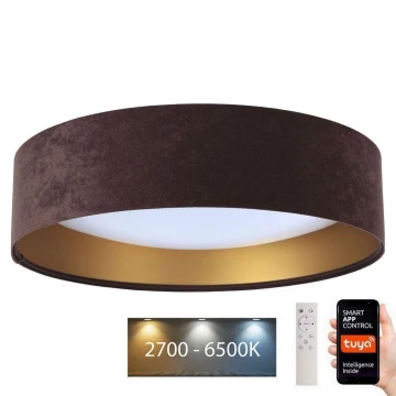 LED Stmívatelné stropní svítidlo SMART GALAXY LED/36W/230V pr. 55 cm 2700-6500K Wi-Fi Tuya hnědá/zlatá + dálkové ovládání