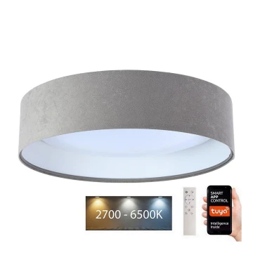 LED Stmívatelné stropní svítidlo SMART GALAXY LED/36W/230V pr. 55 cm 2700-6500K Wi-Fi Tuya šedá/bílá + dálkové ovládání