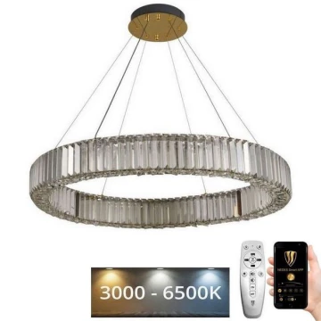 LED Stmívatelný křišťálový lustr na lanku LED/50W/230V 3000-6500K chrom/zlatá + dálkové ovládání