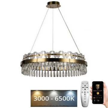 LED Stmívatelný křišťálový lustr na lanku LED/80W/230V 3000-6500K zlatá + dálkové ovládání