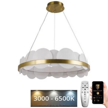 LED Stmívatelný lustr na lanku LED/40W/230V 3000-6500K zlatá + dálkové ovládání