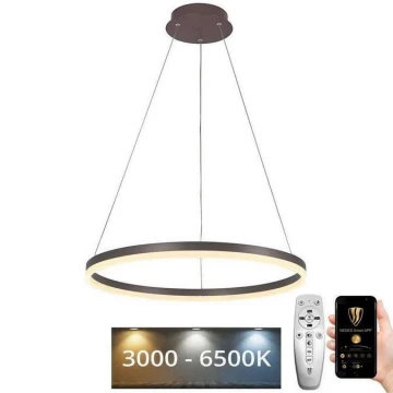 LED Stmívatelný lustr na lanku LED/42W/230V 3000-6500K + dálkové ovládání