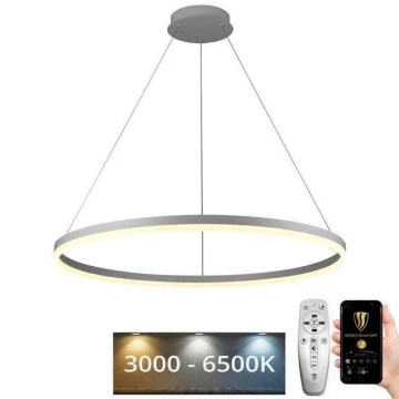 LED Stmívatelný lustr na lanku LED/55W/230V 3000-6500K + dálkové ovládání