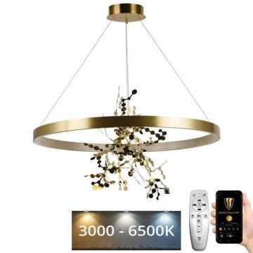 LED Stmívatelný lustr na lanku LED/55W/230V 3000-6500K zlatá + dálkové ovládání