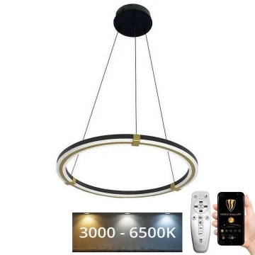 LED Stmívatelný lustr na lanku LED/75W/230V 3000-6500K + dálkové ovládání