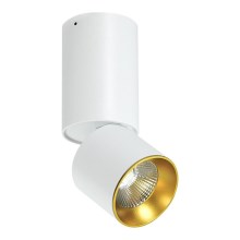 LED Stropní bodové svítidlo LED/10W/230V