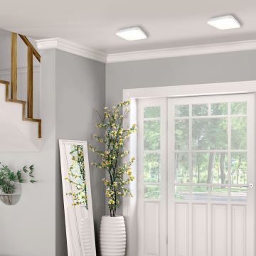 LED Koupelnové stropní svítidlo AJAX LED/10W/230V IP44