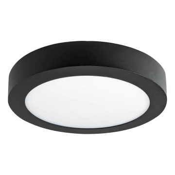 LED Stropní svítidlo FENIX LED/12W/230V 3800K pr. 17 cm