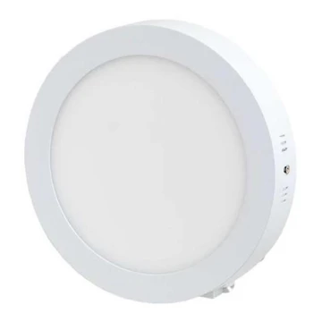 LED Stropní svítidlo LED/12W/230V