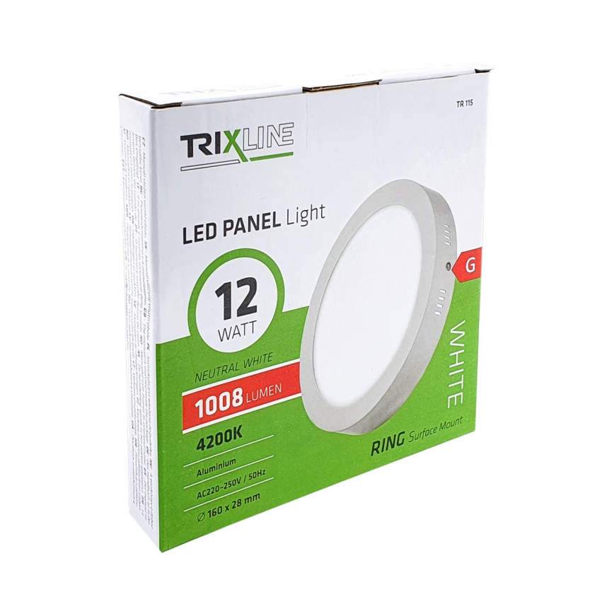 LED Stropní svítidlo LED/12W/230V