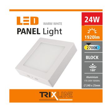 LED Stropní svítidlo LED/24W/230V 2700K