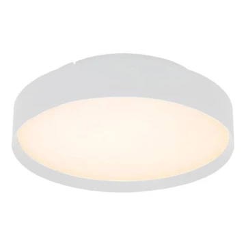 LED Stropní svítidlo LED/40W/230V 3000K pr. 45 cm bílá