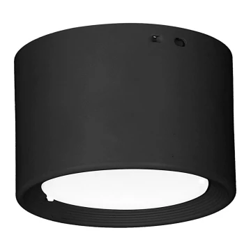 LED Stropní svítidlo LED/6W/230V černá pr. 8 cm