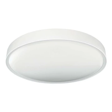 LED Stropní svítidlo SAMER LED/24W/230V 4000K