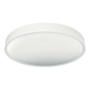 LED Stropní svítidlo SAMER LED/32W/230V 4000K