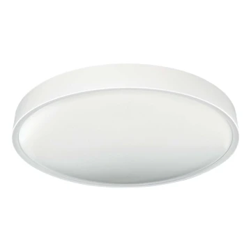 LED Stropní svítidlo SAMER LED/40W/230V 4000K