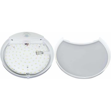 LED Venkovní nástěnné svítidlo se senzorem HIBIS LED/15W/230V IP44