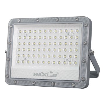 LED Venkovní reflektor LED/100W/230V 5000K IP65 šedá