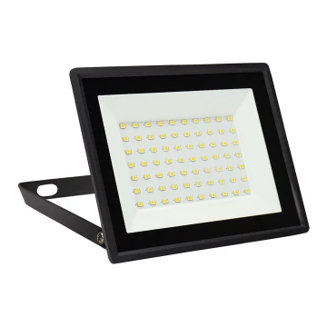 LED Venkovní reflektor NOCTIS LUX 3 LED/50W/230V 6000K IP65 černá