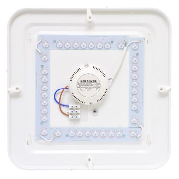 LED Venkovní stropní svítidlo LUKA LED/42W/230V IP44