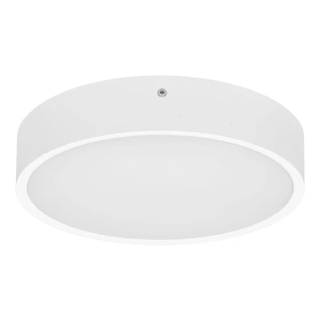 LED Venkovní stropní svítidlo MARTIN LED/15W/230V 3000/4000K pr. 30 cm IP65 bílá