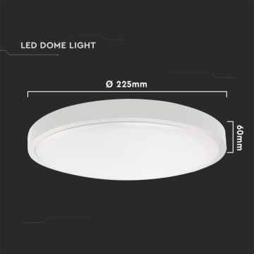 LED Venkovní stropní svítidlo se senzorem LED/24W/230V 6500K IP44 bílá