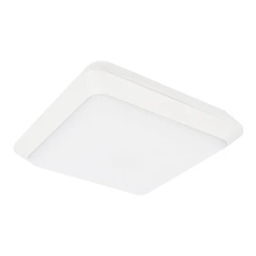 LED Venkovní stropní svítidlo TIPO LED/24W/230V IP66