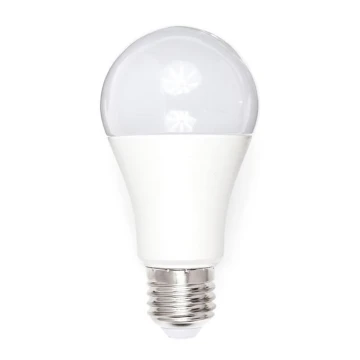 LED Žárovka A80 E27/18W/230V 3000K