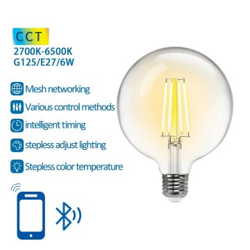 LED Žárovka FILAMENT G125 E27/6W/230V 2700-6500K - Aigostar