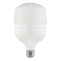 LED Žárovka T100 E27/30W/230V 6500K