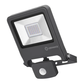 Ledvance - LED Reflektor ENDURA se senzorem LED/30W/230V IP65