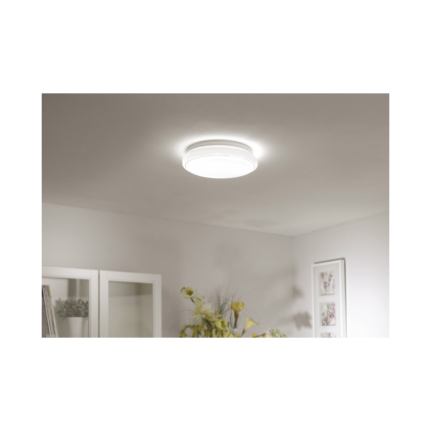 Leuchten Direkt 14362-16 - LED Stropní svítidlo JUPITER LED/17W/230V 3000/4000/5000K