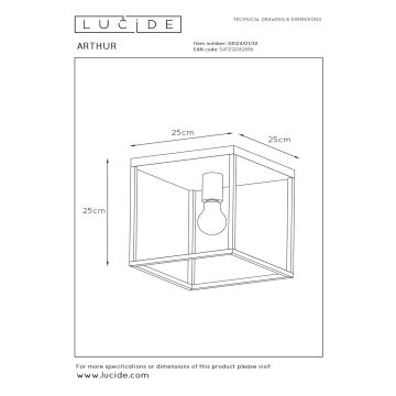 Lucide 08124/01/30 - Stropní svítidlo ARTHUR 1xE27/60W/230V