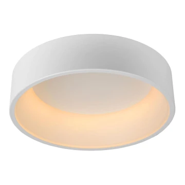 Lucide 46100/32/31 - LED Stmívatelné stropní svítidlo TALOWE LED LED/32W/230V