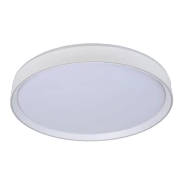 Lucide 79182/36/31 - LED Stmívatelné stropní svítidlo NURIA LED/36W/230V