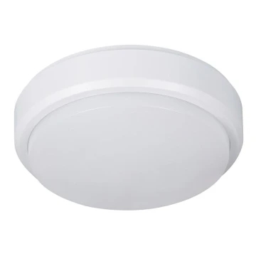 Müller-Licht - LED Venkovní stropní svítidlo PICTOR LED/8W/230V IP54