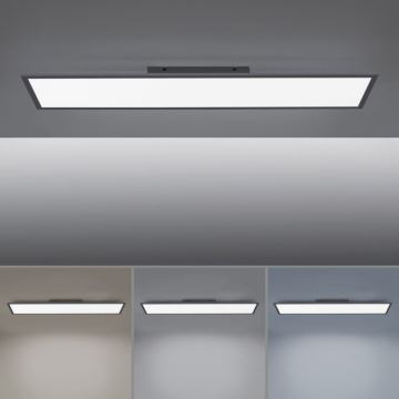 Paul Neuhaus 16533-16-O - LED Stmívatelný přisazený panel FLAT LED/24W/230V 2700-5000K černá + dálkové ovládání