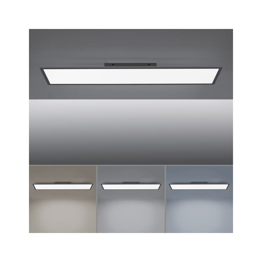 Paul Neuhaus 16533-16-O - LED Stmívatelný přisazený panel FLAT LED/24W/230V 2700-5000K černá + dálkové ovládání